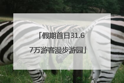 假期首日31.67万游客漫步游园