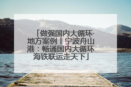 做强国内大循环·地方案例丨宁波舟山港：畅通国内大循环海铁联运走天下