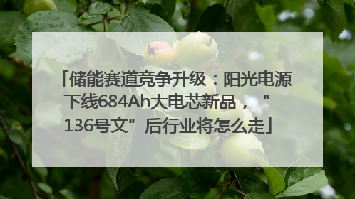 储能赛道竞争升级：阳光电源下线684Ah大电芯新品，“136号文”后行业将怎么走