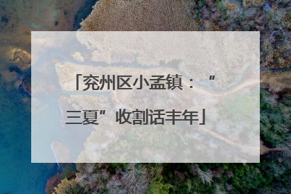 兖州区小孟镇：“三夏”收割话丰年