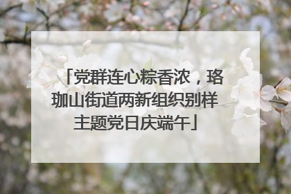 党群连心粽香浓，珞珈山街道两新组织别样主题党日庆端午