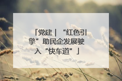 党建｜“红色引擎”助民企发展驶入“快车道”