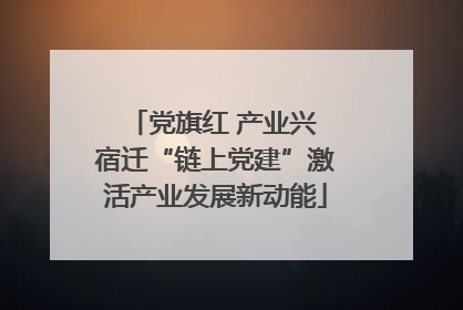 党旗红 产业兴 宿迁“链上党建”激活产业发展新动能
