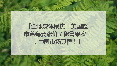 全球媒体聚焦丨美国超市蓝莓要涨价？秘鲁果农：中国市场真香！