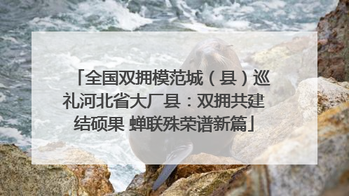 全国双拥模范城（县）巡礼河北省大厂县：双拥共建结硕果 蝉联殊荣谱新篇