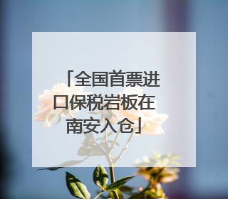 全国首票进口保税岩板在南安入仓