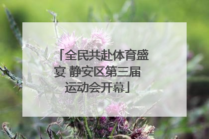 全民共赴体育盛宴 静安区第三届运动会开幕