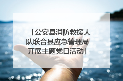 公安县消防救援大队联合县应急管理局开展主题党日活动
