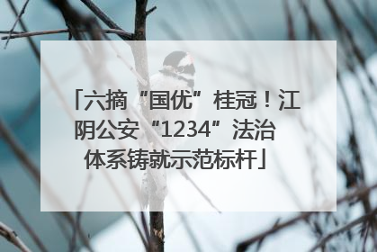 六摘“国优”桂冠！江阴公安“1234”法治体系铸就示范标杆