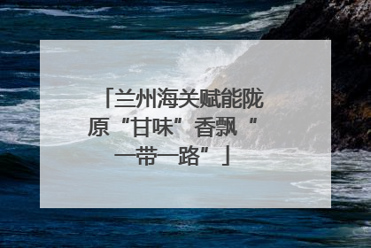 兰州海关赋能陇原“甘味”香飘“一带一路”
