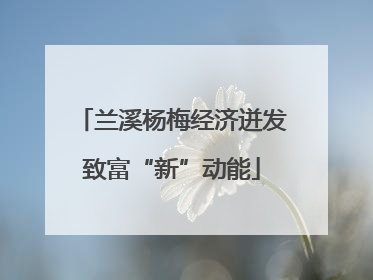 兰溪杨梅经济迸发致富“新”动能