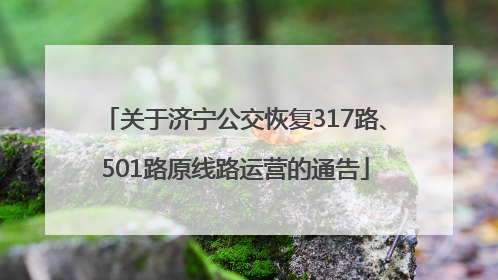关于济宁公交恢复317路、501路原线路运营的通告