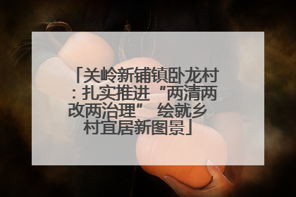 关岭新铺镇卧龙村：扎实推进“两清两改两治理” 绘就乡村宜居新图景