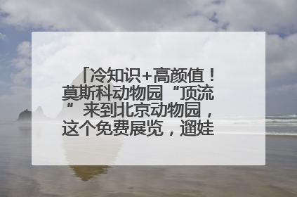 冷知识+高颜值！莫斯科动物园“顶流”来到北京动物园，这个免费展览，遛娃拍照两不误！