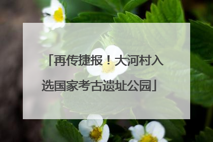再传捷报！大河村入选国家考古遗址公园