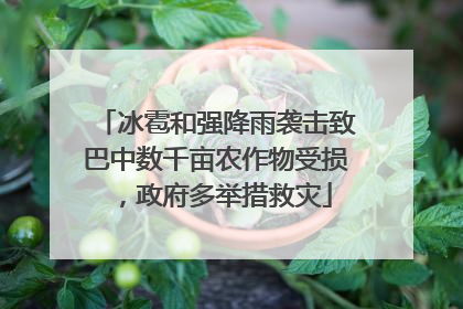 冰雹和强降雨袭击致巴中数千亩农作物受损，政府多举措救灾