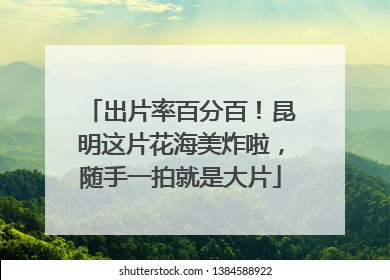 出片率百分百！昆明这片花海美炸啦，随手一拍就是大片