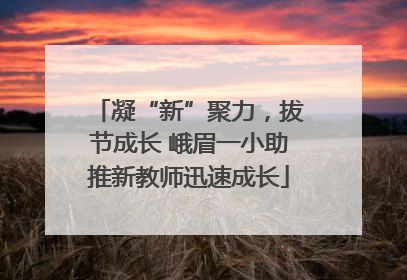 凝“新”聚力，拔节成长 峨眉一小助推新教师迅速成长