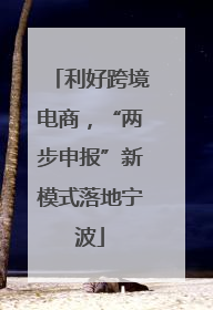 利好跨境电商，“两步申报”新模式落地宁波