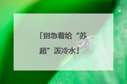 别急着给“苏超”泼冷水