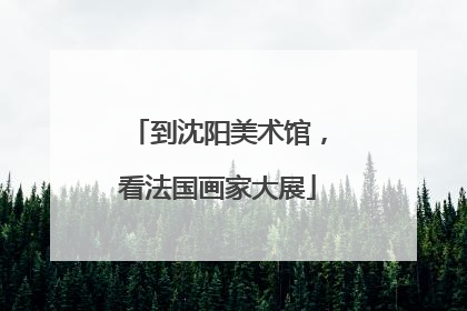 到沈阳美术馆，看法国画家大展