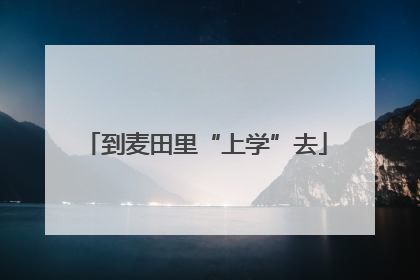 到麦田里“上学”去