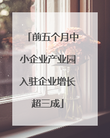 前五个月中小企业产业园入驻企业增长超三成