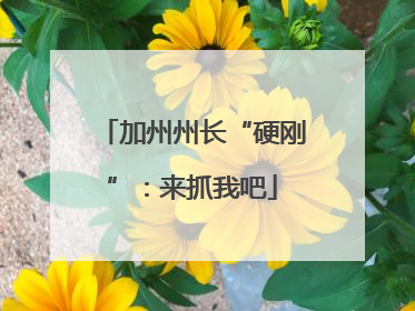 加州州长“硬刚”：来抓我吧