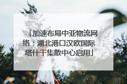 加速布局中亚物流网络：湖北港口汉欧国际塔什干集散中心启用