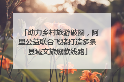 助力乡村旅游破圈，阿里公益联合飞猪打造多条县域文旅爆款线路