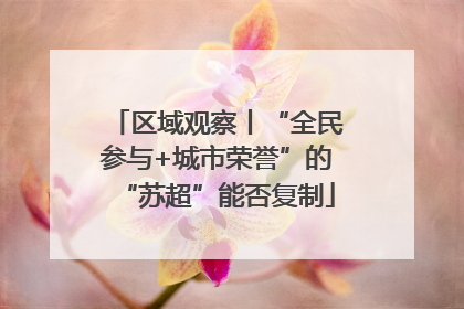 区域观察丨“全民参与+城市荣誉”的“苏超”能否复制