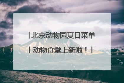 北京动物园夏日菜单丨动物食堂上新啦！
