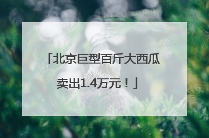 北京巨型百斤大西瓜卖出1.4万元！