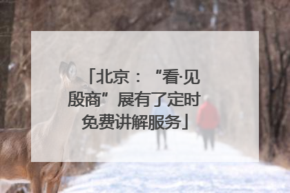北京：“看·见殷商”展有了定时免费讲解服务