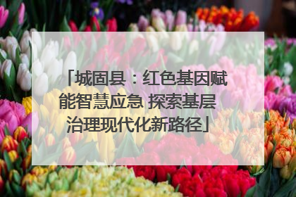 城固县：红色基因赋能智慧应急 探索基层治理现代化新路径