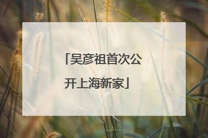 吴彦祖首次公开上海新家