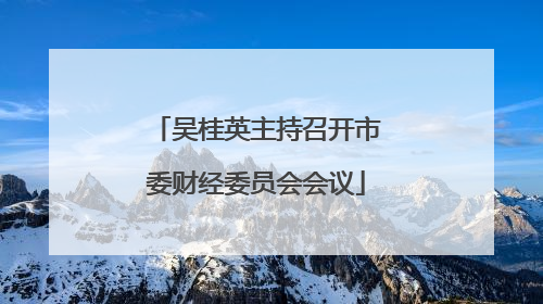 吴桂英主持召开市委财经委员会会议