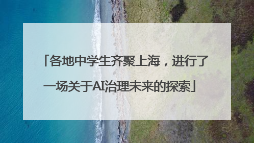 各地中学生齐聚上海，进行了一场关于AI治理未来的探索