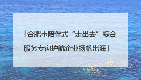合肥市陪伴式“走出去”综合服务专窗护航企业扬帆出海