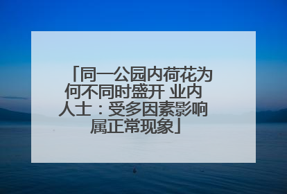 同一公园内荷花为何不同时盛开 业内人士：受多因素影响 属正常现象