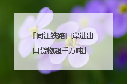 同江铁路口岸进出口货物超千万吨