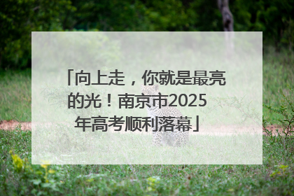 向上走，你就是最亮的光！南京市2025年高考顺利落幕