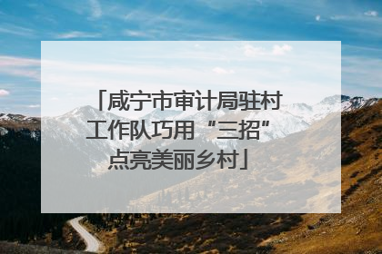 咸宁市审计局驻村工作队巧用“三招”点亮美丽乡村