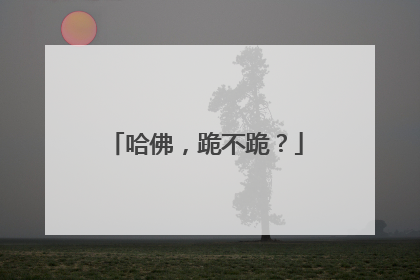 哈佛，跪不跪？