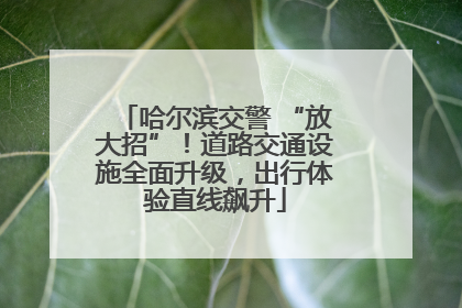 哈尔滨交警 “放大招”！道路交通设施全面升级，出行体验直线飙升