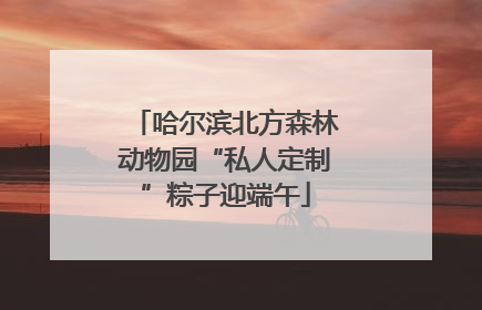 哈尔滨北方森林动物园“私人定制”粽子迎端午