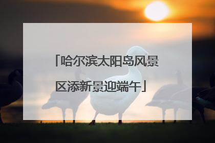 哈尔滨太阳岛风景区添新景迎端午