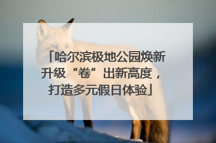 哈尔滨极地公园焕新升级“卷”出新高度，打造多元假日体验