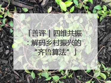 善评｜四维共振：解码乡村振兴的“齐鲁算法”