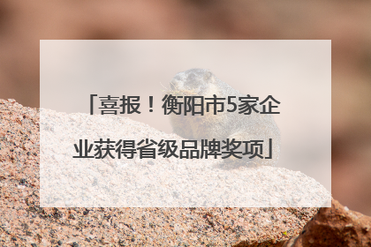 喜报！衡阳市5家企业获得省级品牌奖项